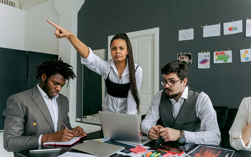 Audit Organisationnel